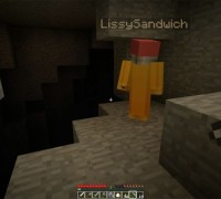 Bowlingotter-MarriedMinecraftPart5ChestWheat542