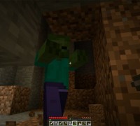 Bowlingotter-MarriedMinecraftPart6FlavorFlav380